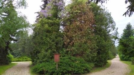 Hazánk kincsei IV. rész - A Bábolnai Arborétum