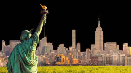 MANHATTAN repcénk nyerte a NÉBIH idei fajta-összehasonlító kísérletek termésversenyét