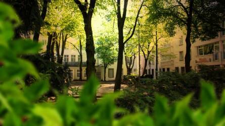 Természetalapú megoldások (NBS-Nature-based solutions) a települések életében