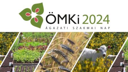 ÖMKi Ágazati Szakmai Nap 2024