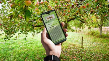 App a károsítók felismeréséhez és kezeléséhez – ingyen!