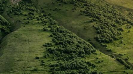 Föld napja: fenntartható gazdálkodás az agráriumban